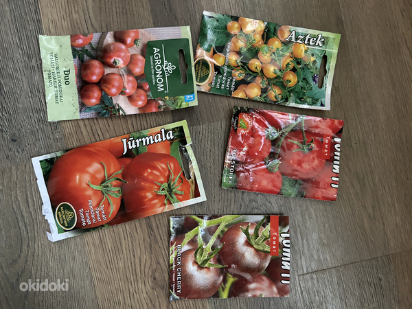 Taimed tomatit ja paprika (foto #2)