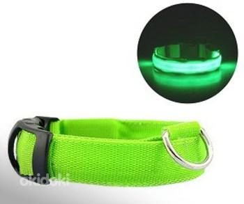 Koera LED kaelarihm L kuni 59CM roheline (foto #1)