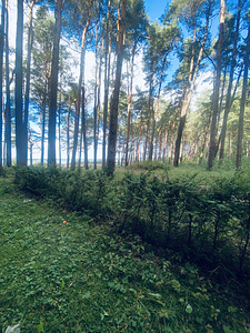 Supluse pst 1, Pirita, Tallinn, Harjumaa (9 foto / 9)