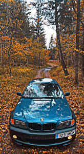 E46 320d 110kw 2002 (7 foto / 11)