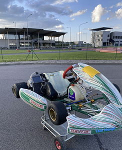 Rotax max гоночный карт (5 фото из 5)
