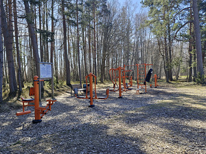 Järve tee 4, Klooga, Lääne-Harju vald, Harjumaa (20 foto / 23)