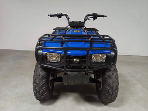 Квадроцикл 250cc (2 фото из 8)