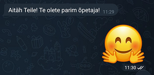 Eesti keele tunnid / Estonian lessons (6 foto / 10)
