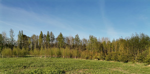 Räägu tee 22, Vikipalu, Anija vald, Harjumaa (7 foto / 10)