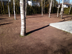 Külvata ja rullmuru (10 foto / 10)
