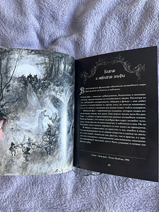Книна Феи (3 фото из 4)