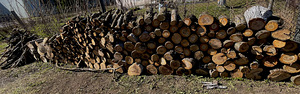 Küttepuud (õunapuu, kirss, ploom) (3 foto / 3)