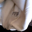 Tommy Hilfigeri meeste valge tikitud logoga dressipluus (foto #5)