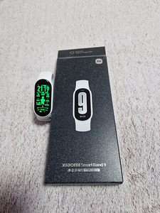 Xiaomi Smart band 9 Ceramic Edition