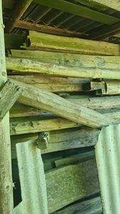 Müüa vana palkmaja küttepuudeks (4 foto / 5)
