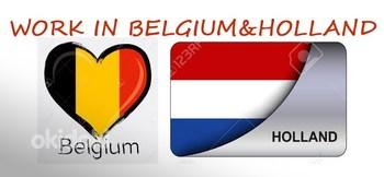 Работa в Нидерландах и Бельгии (фото #1)