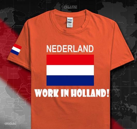 Предлагаем работу в Нидерландах (фото #1)