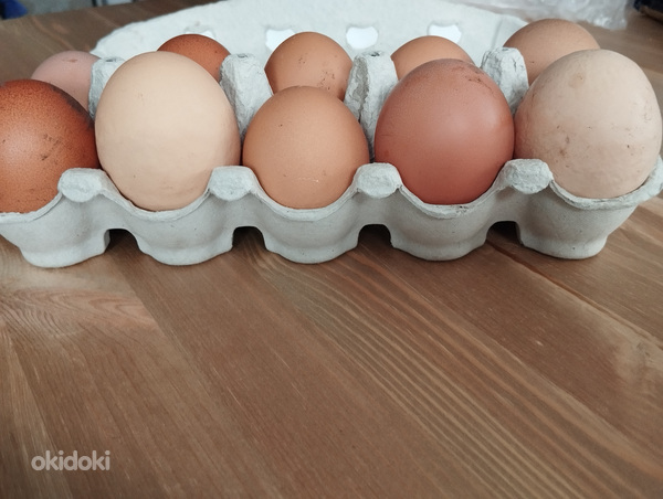 Яйца от куриц со свабодного выгула крупные.
