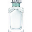Tiffany parfüüm (foto #1)