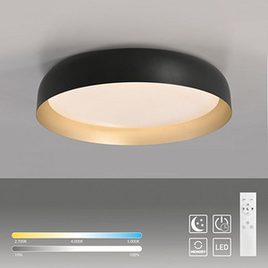 Osko laelamp (2 foto / 6)