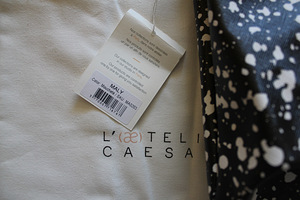 L'aetelier Caesars must kott, uus (9 foto / 10)
