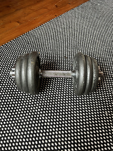 Hantel 15kg (1 foto / 1)