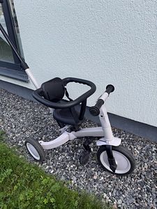 Sangaga lükatav Kolmerattaline (2 foto / 3)