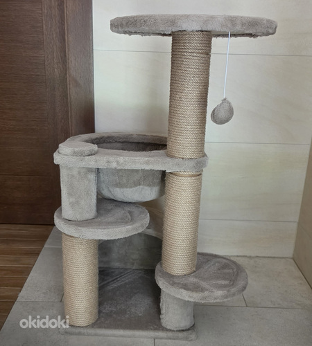 Кошачий домик