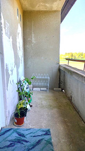 Vaimastvere keskus 8, Vaimastvere, Jõgeva vald, Jõgevamaa (6 foto / 10)