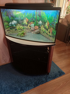 Akvaarium 120l koos kapiga (1 foto / 3)