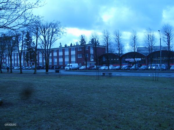 Аренда бизнес-площадей в Нарве от собственника (фото #1)