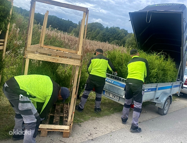 Требуются рабочие