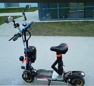 Müüa uuendatud elektritõukeratas BEASTER SCOOTER bs11 (1 foto / 4)