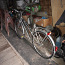 3- käiguline jalgratas KETTLER ALU-SPORTRAD (foto #2)