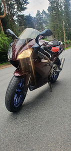 Aprilia rs 125 A1 kat (7 foto / 8)