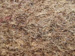 Looduslik vilt. (1 foto / 3)