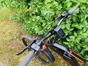 Prophete Graveler AEG - kõik kirjelduses ! (3 foto / 9)