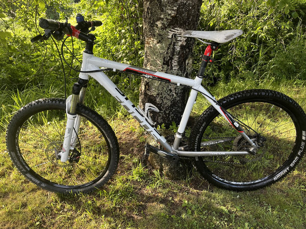 Focus Black Forest 26 “ M