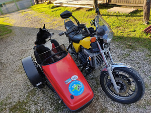 Honda VF 750 Magna sidecar külgkorviga V4 60kW (2 foto / 9)