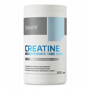 Sporditoidud Bcaa Protein Mass Gainer Creatine Fat Burner (4 foto / 10)