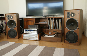 Celestion Ditton 25 kõlarid (2 foto / 10)