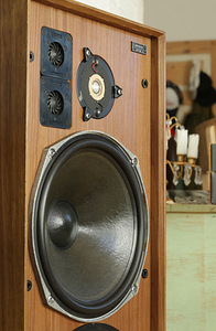 Celestion Ditton 25 kõlarid (6 foto / 10)