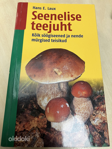 Seenelise teejuht