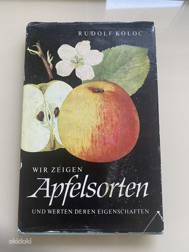 Raamat "Wir zeigen Apfelsorten und werten deren Eigenschafte (foto #1)