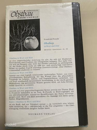 Raamat "Wir zeigen Apfelsorten und werten deren Eigenschafte (foto #3)