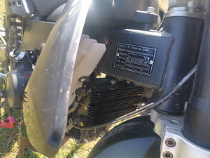 Apollo Orion 140cc krossikas (3 foto / 3)