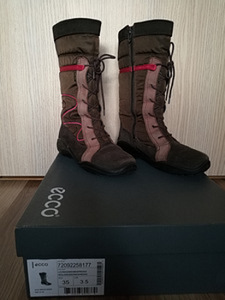 Ecco saanad