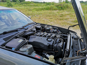 BMW 730i M57d30 ДИЗЕЛЬ (8 фото из 10)