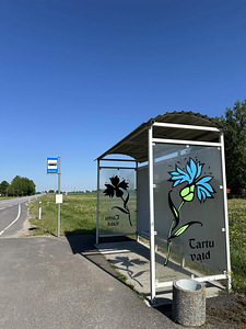 LOODUSKAUNIS KRUNT TARTUST 11KM KAUGUSEL (3 foto / 3)