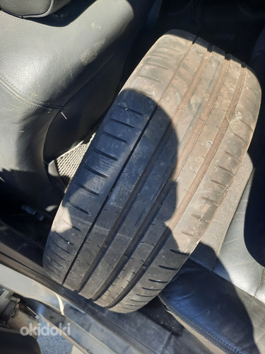 19" veljed
