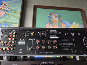 Võimendi Yamaha A-S801 (4 foto / 5)
