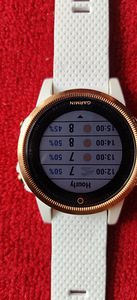 Garmin fenix 5S Sapphire Rose (3 foto / 5)