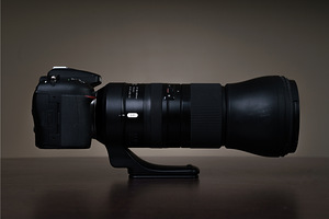 Nikon D7100 - Tamron SP 150-600mm F/5-6.3 Di VC USD G2 (4 foto / 10)