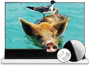 Vividstorm S Pro 120" Electric Tab-Tensioned Floor Screen (1 foto / 6)